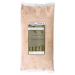 Caperlan Návnada Gooster Carpe Nuggets