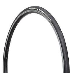 Michelin Plášť Pro4 Endurance 700 × 25