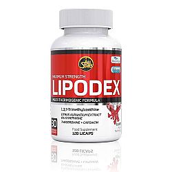 Spalovač tuků Lipodex 120 kaps - All Stars