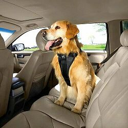Kurgo Bezpečnostní postroj pro psy s pásem do auta, černá, XL