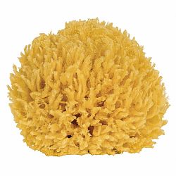 Přírodní mořská mycí houba