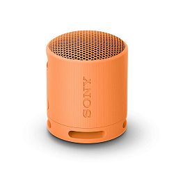 Sony SRS-XB100 Přenosný bezdrátový reproduktor, oranžová