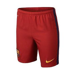 Nike Fotbalové Šortky FC Barcelona